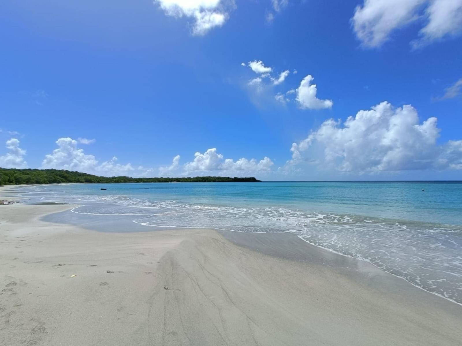Le Madja'Kaz - Studio En Residence Et Bord De Mer - Sainte Luce Martinique Luaran gambar